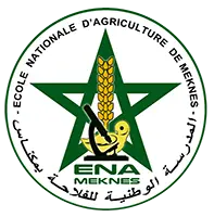 logo ena 1